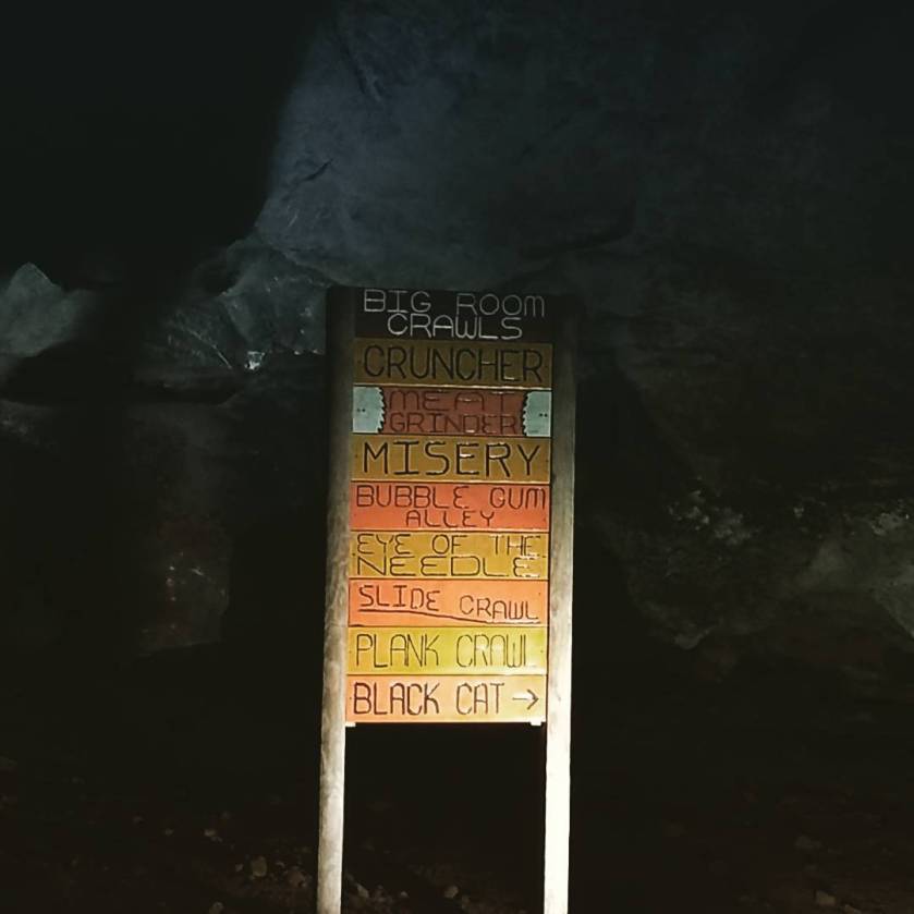 26173496_10105387183612819_2158804406650814626_o