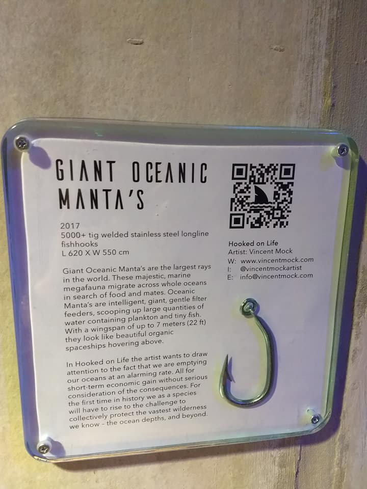 32674525_10105741143494379_5767778471619067904_n