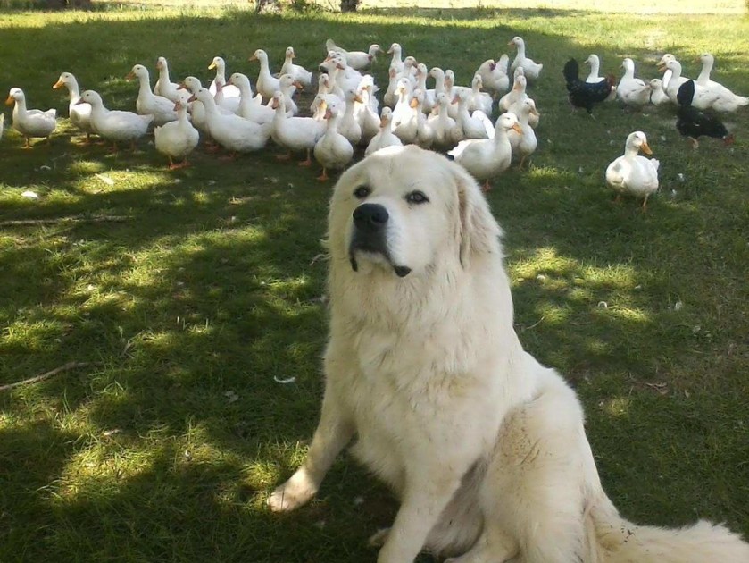 7bcdb731-a8dd-4996-8973-1ae25ad092d7