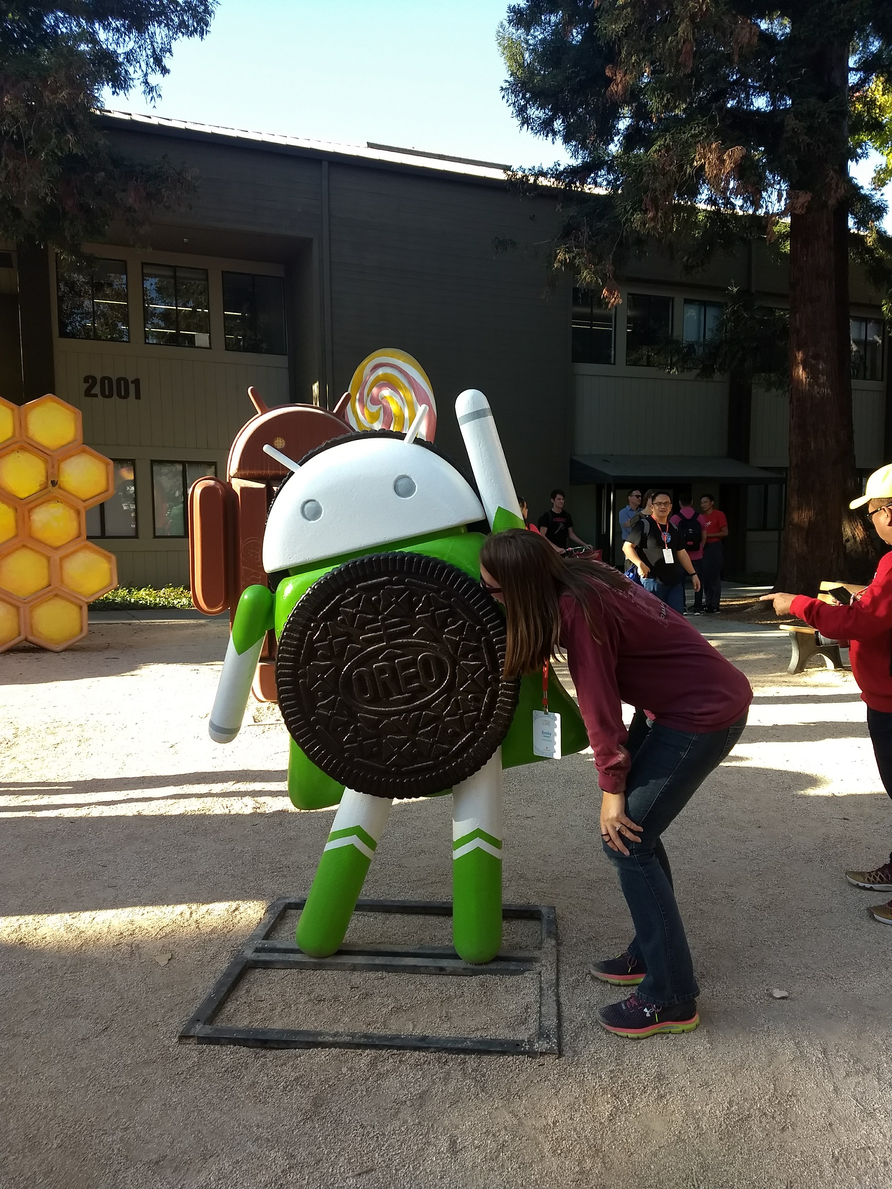 img_20181018_163437268