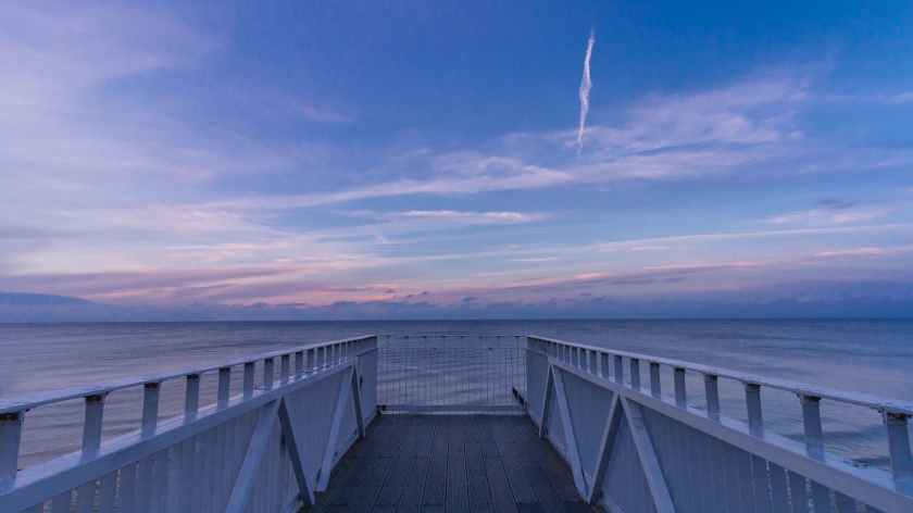 gray wooden dockyard