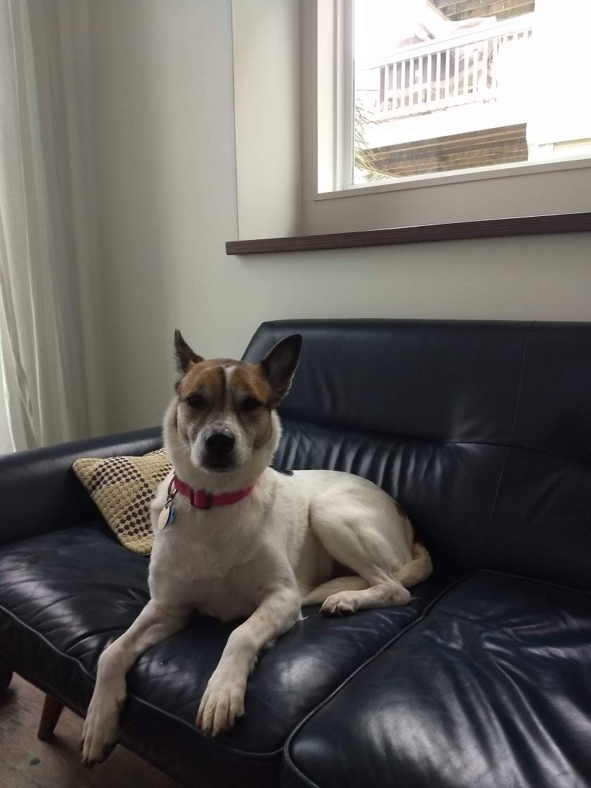 IMG_20190119_080927245