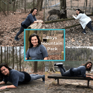 Bays Mountain Park