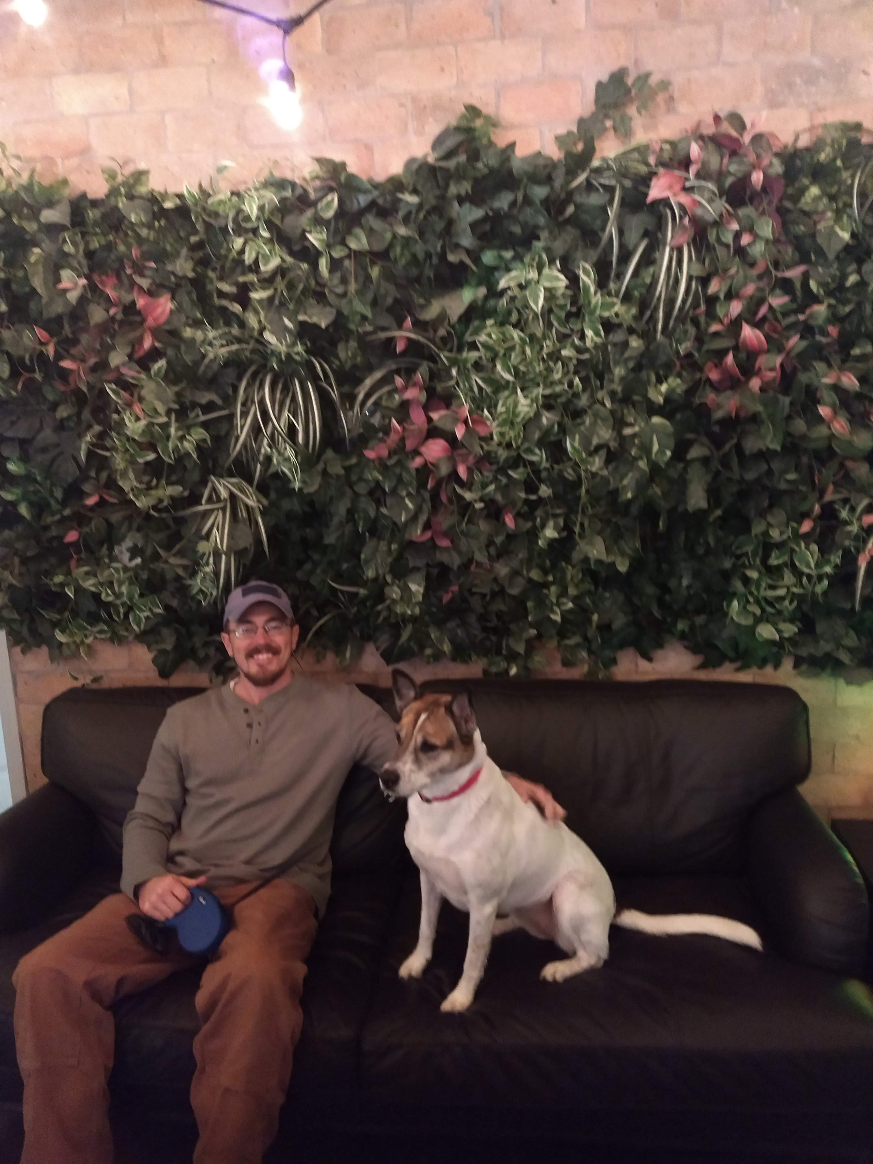 img_20190118_214154707