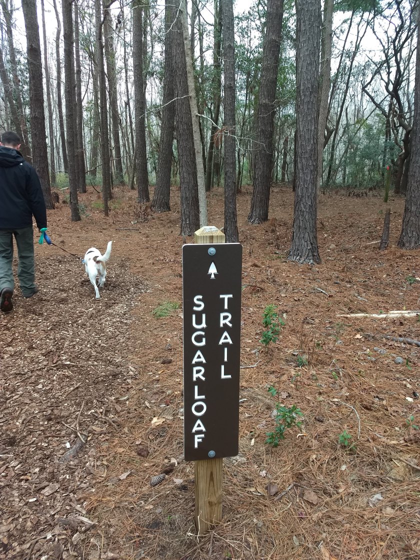 img_20190119_104614446