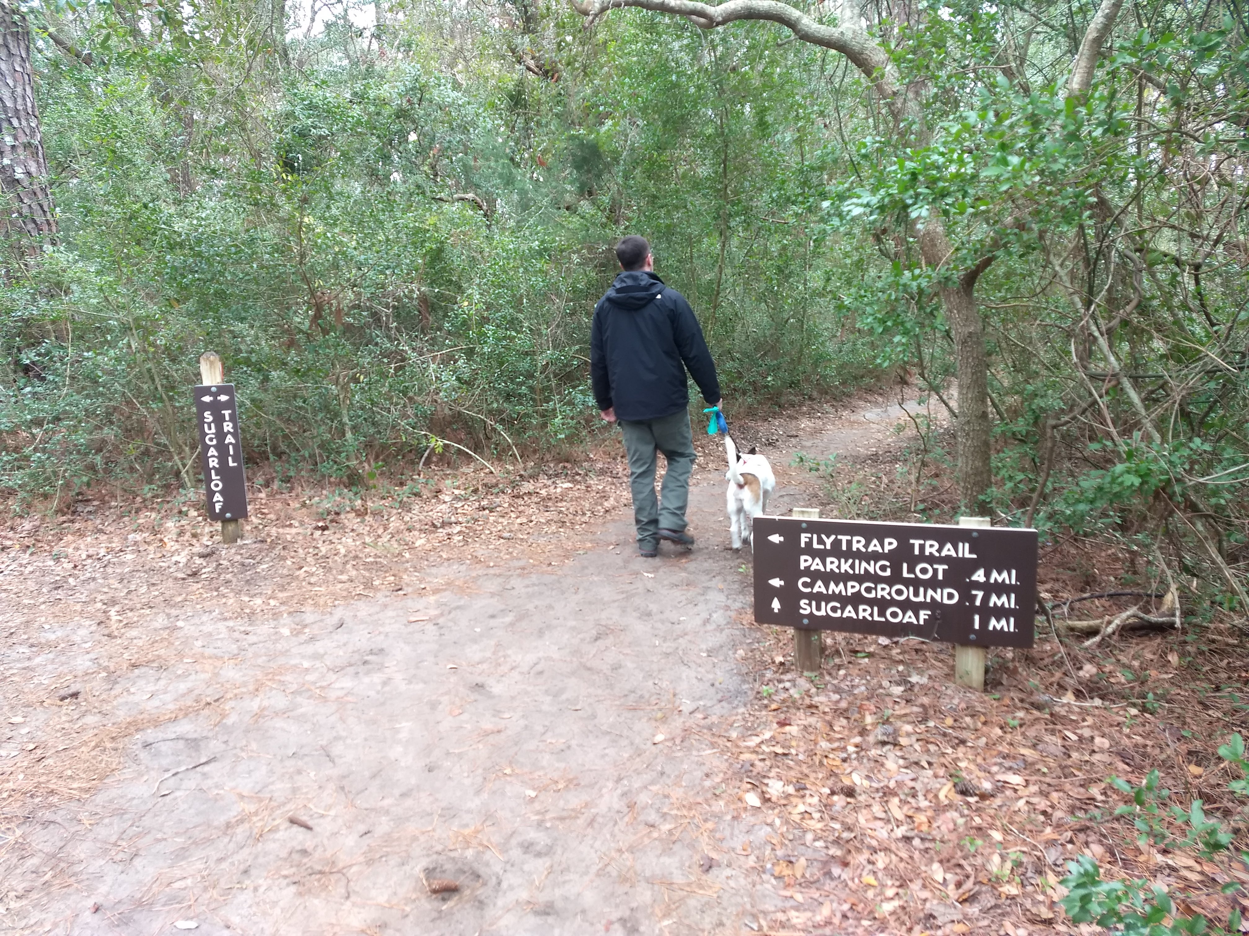 img_20190119_110353893