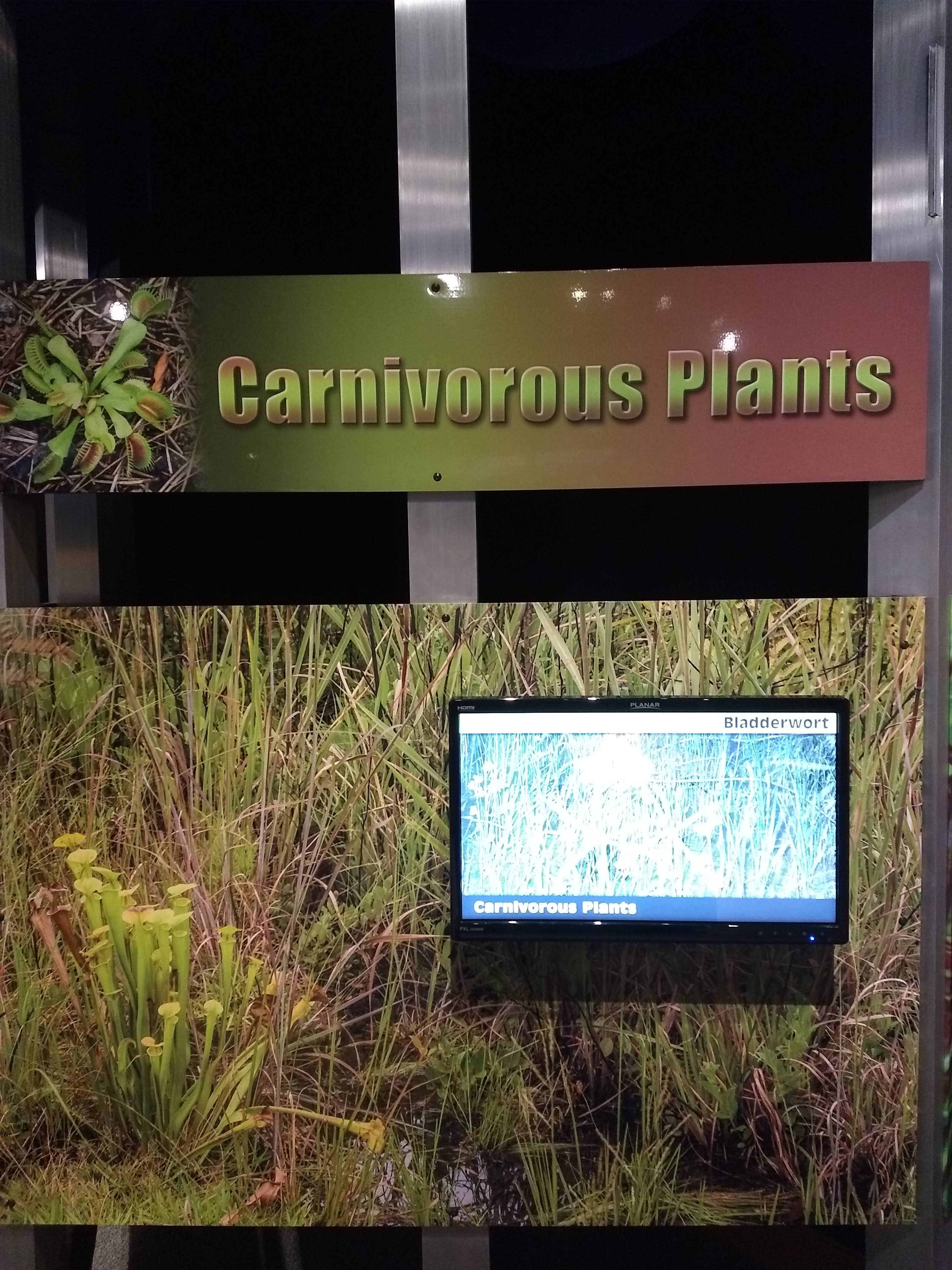 img_20190119_114520421