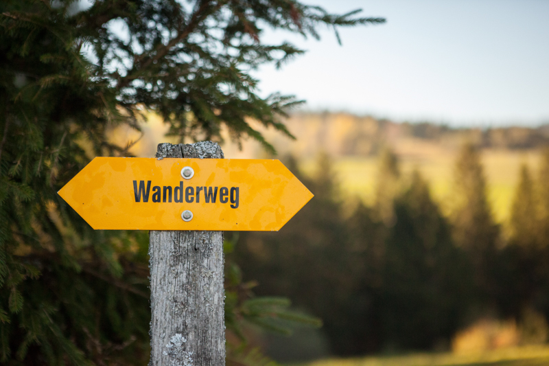 KRISTINREINHARD-hikingsign-1