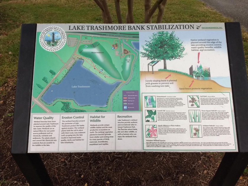 img_20181109_120910058