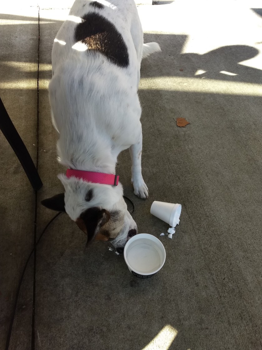 img_20181110_100451724