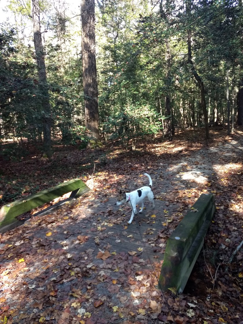 img_20181110_115647067