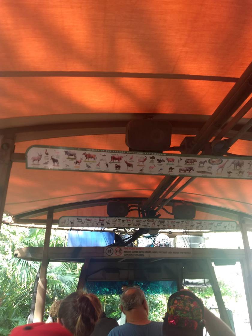 IMG_20190228_093921485_BURST000_COVER_TOP