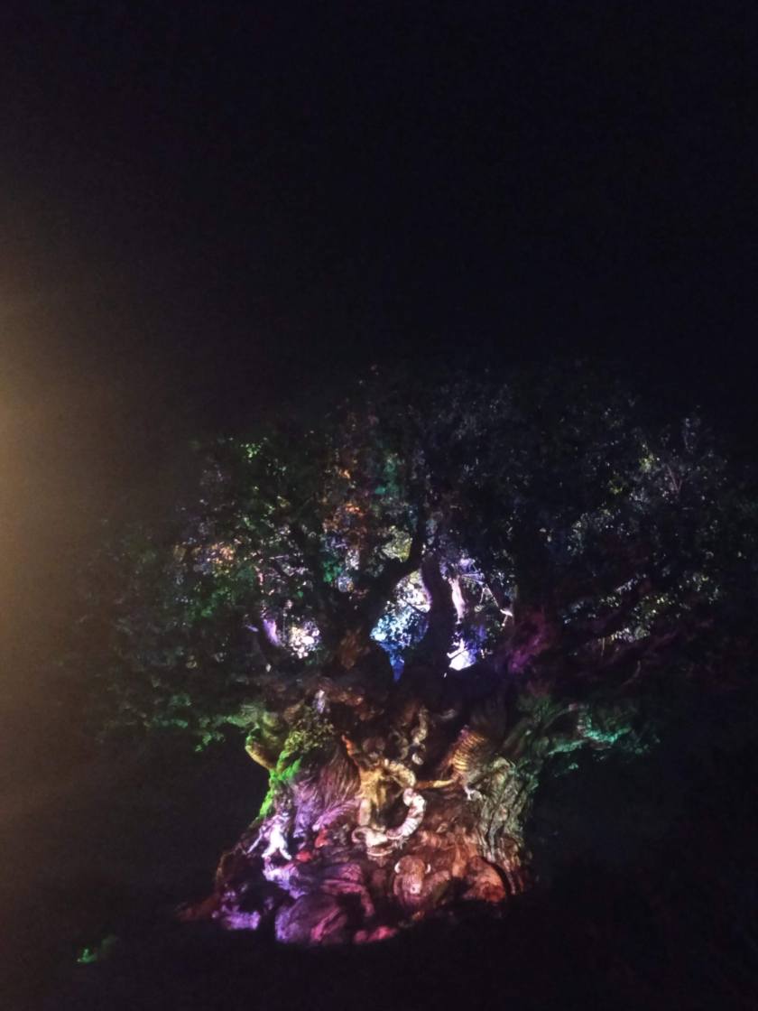 IMG_20190228_193115156