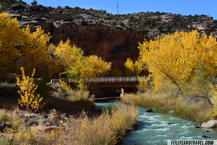 Photo 6 Hickman Bridge Trl_WEB