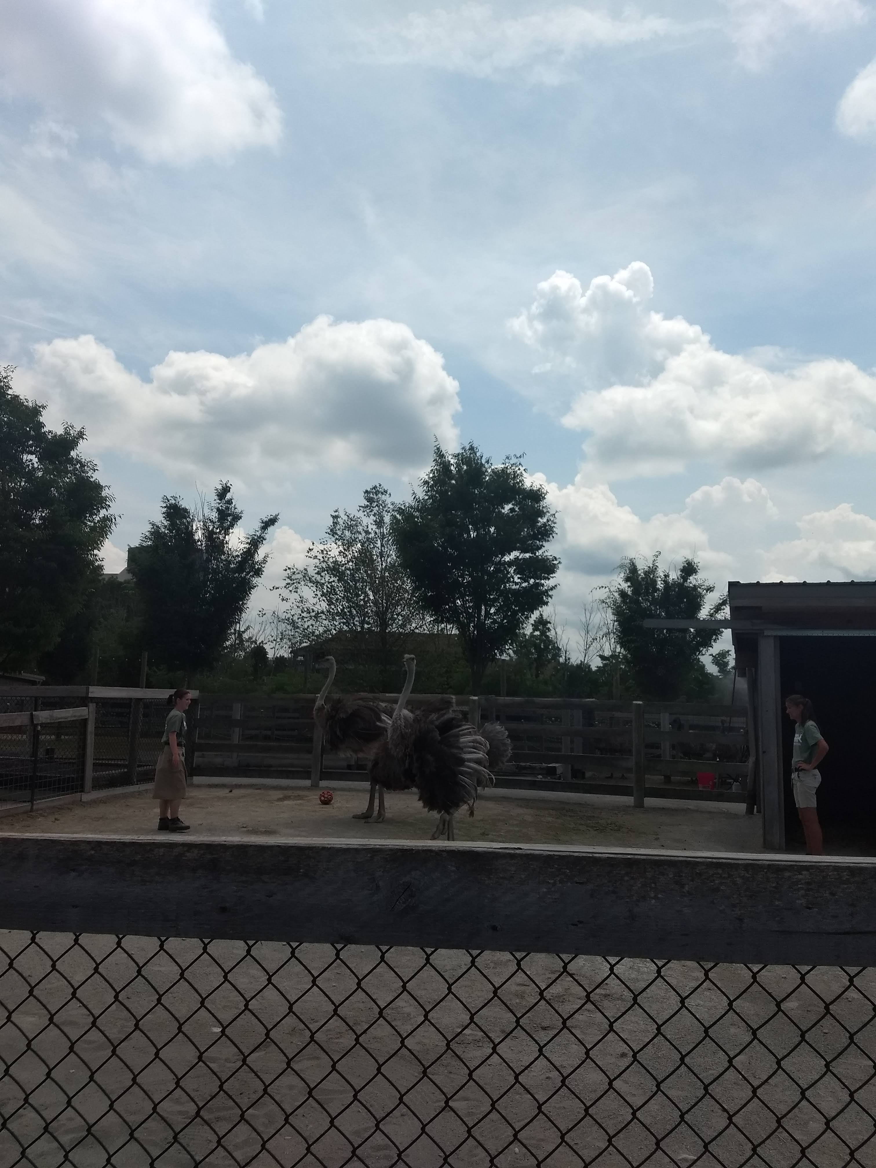 img_20190711_132009375