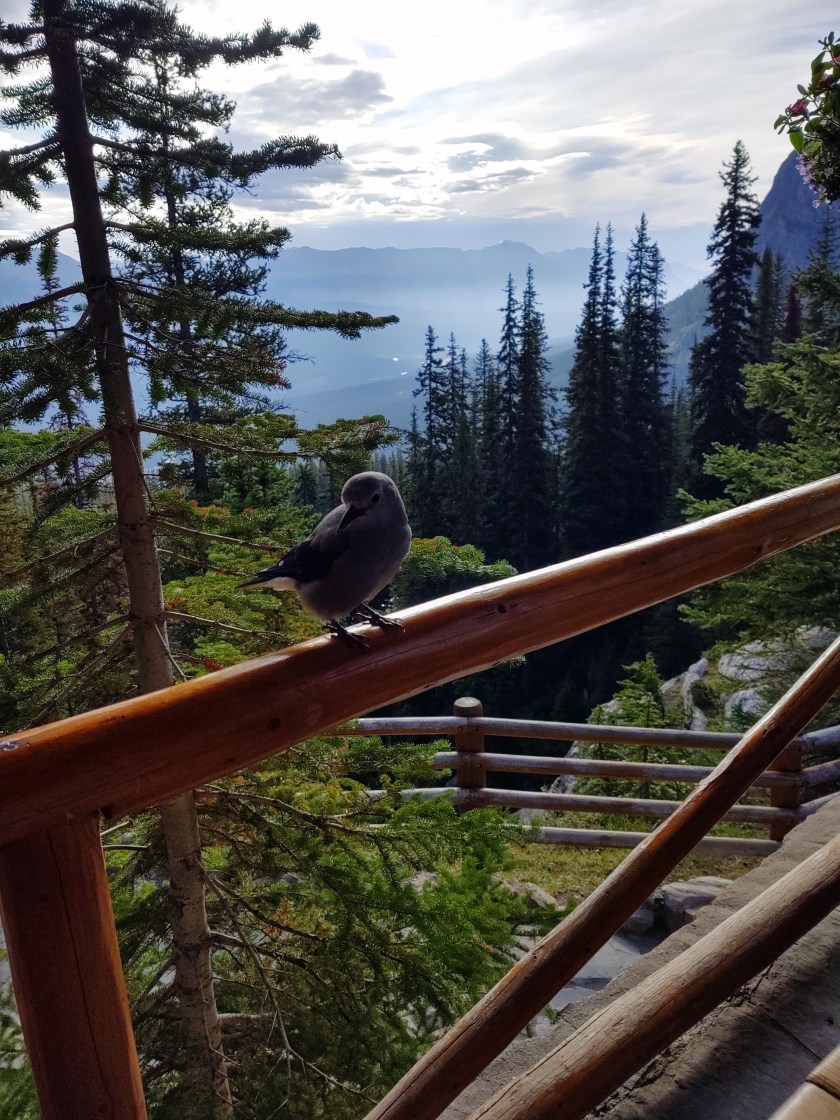 img_20190830_091348125_hdr