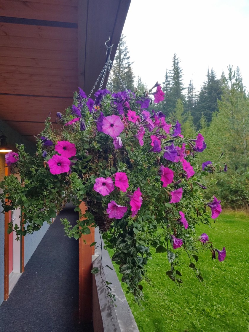 img_20190901_195217003_hdr