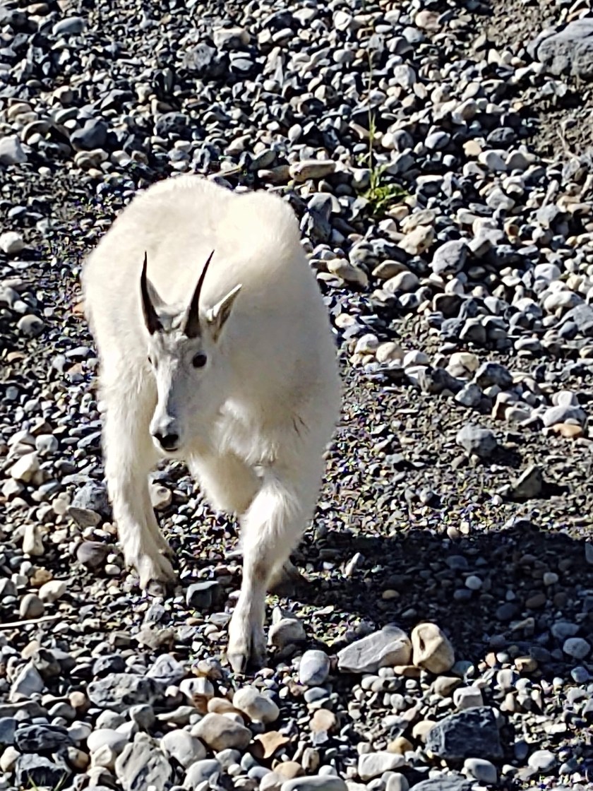 img_20190902_162416389