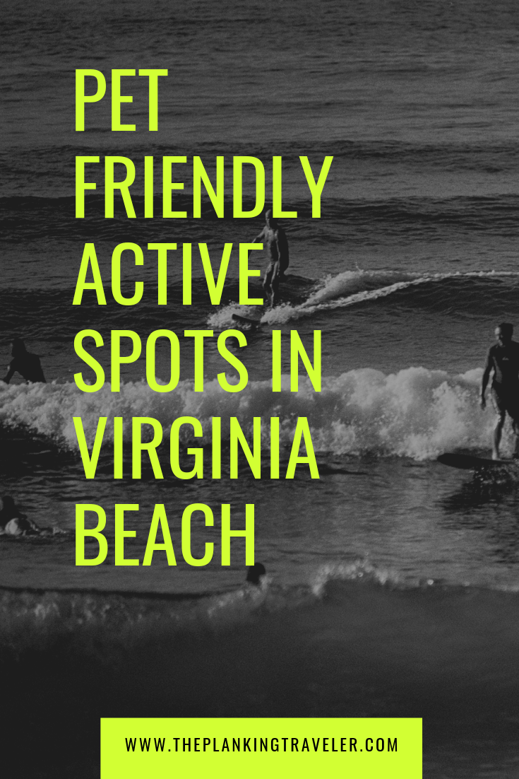 Pet friendly activities in virginia beach