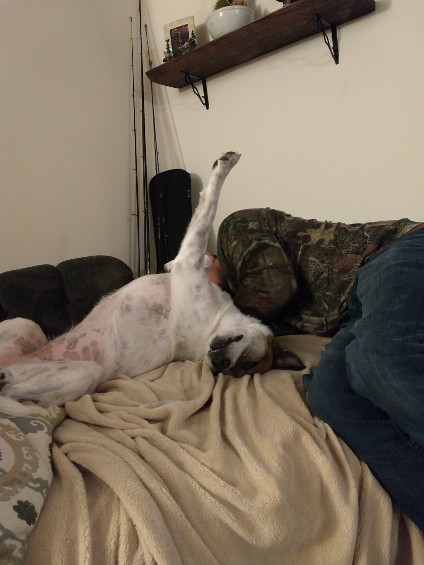 IMG_20180407_215845536