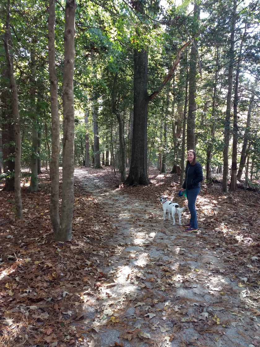 IMG_20181110_115145811