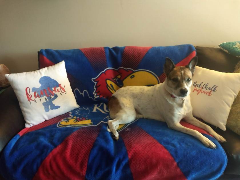 IMG_20190321_161757693