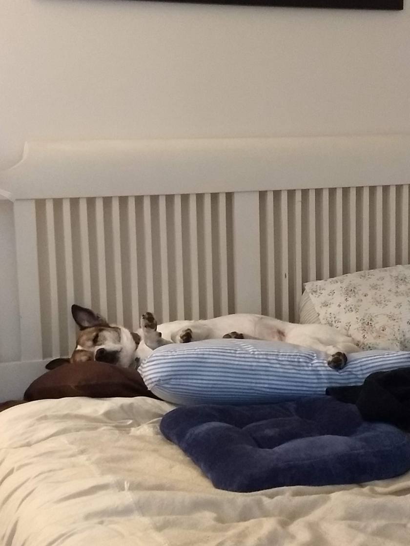 IMG_20190415_124230124