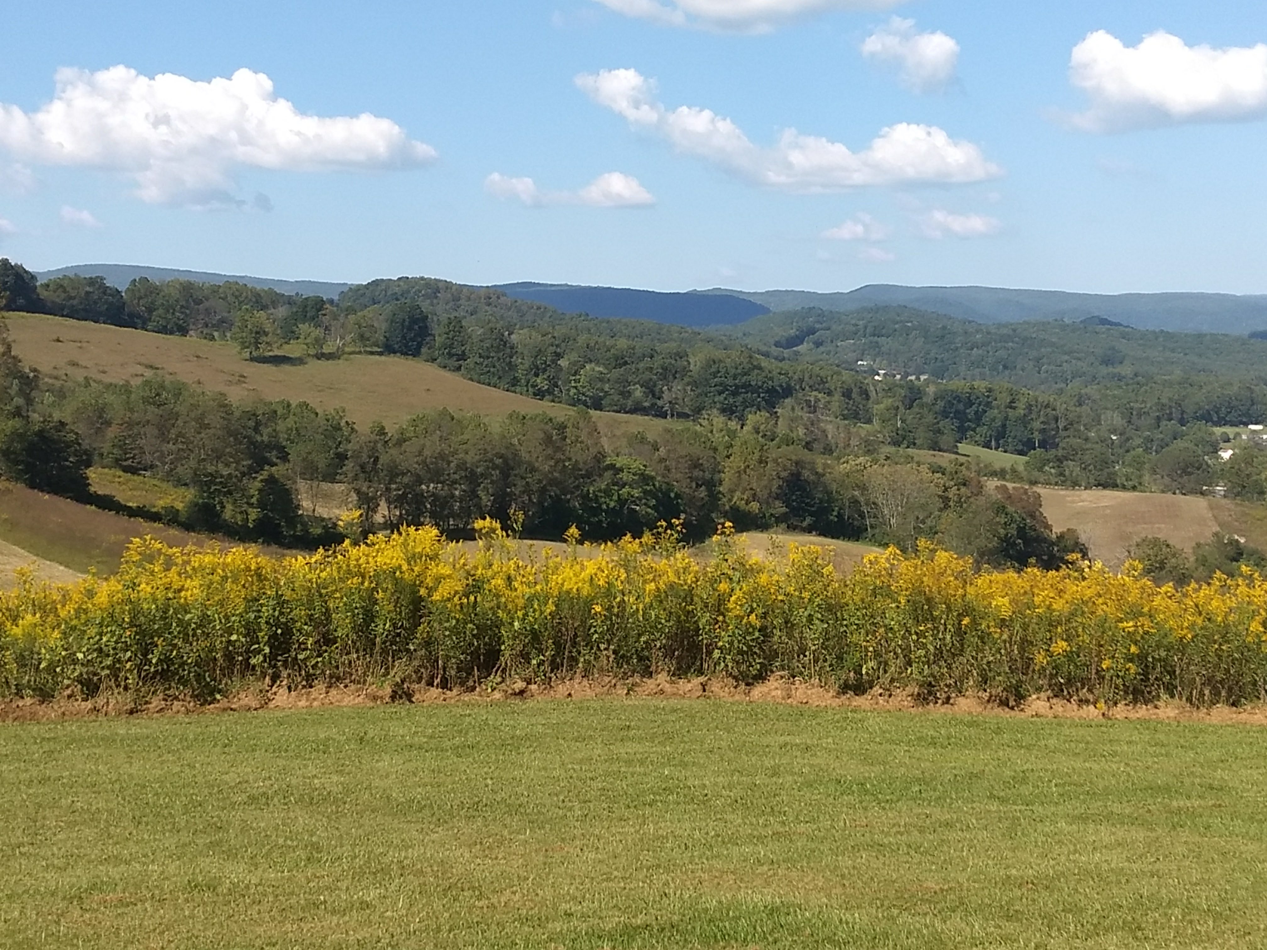 IMG_20170923_154207106