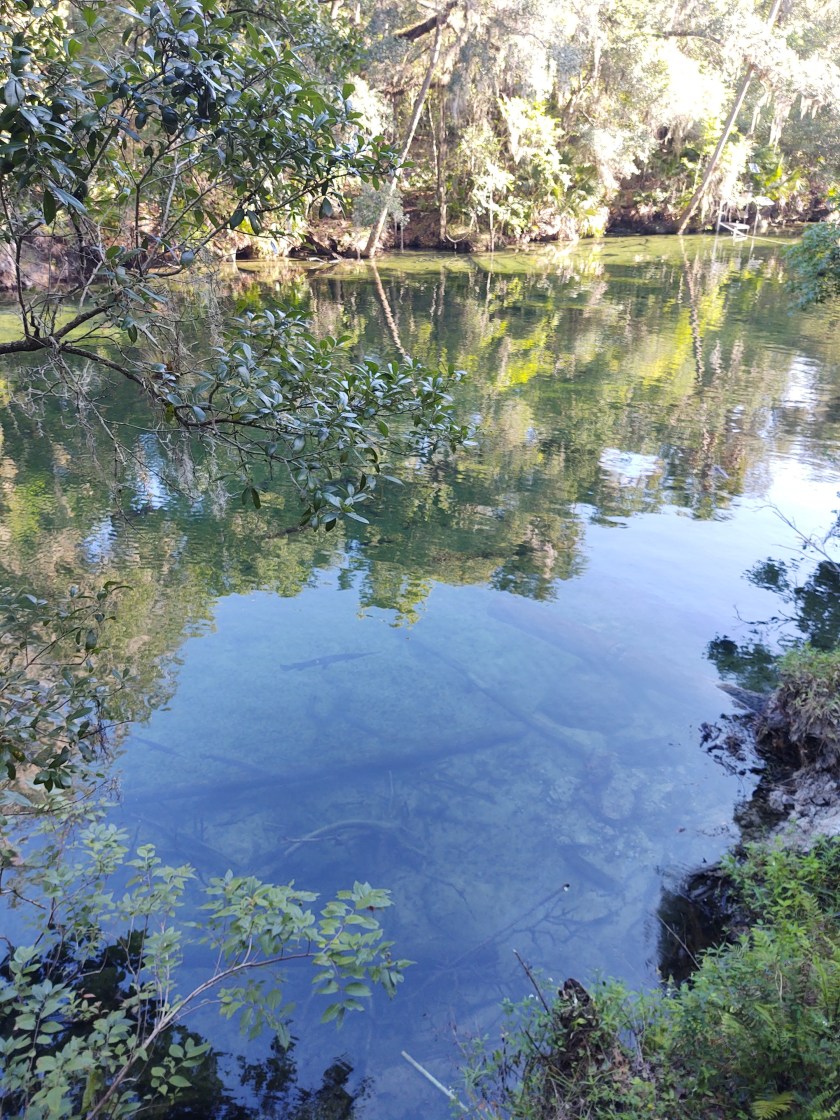 img_20200624_084332809