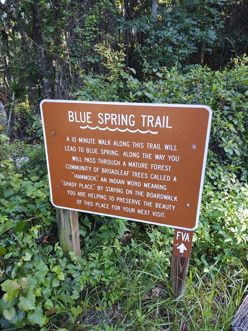 img_20200624_084636844