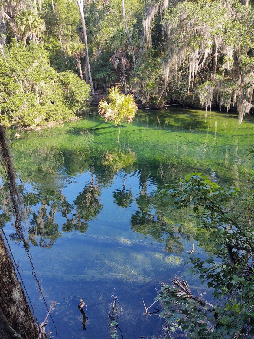 img_20200624_091510870