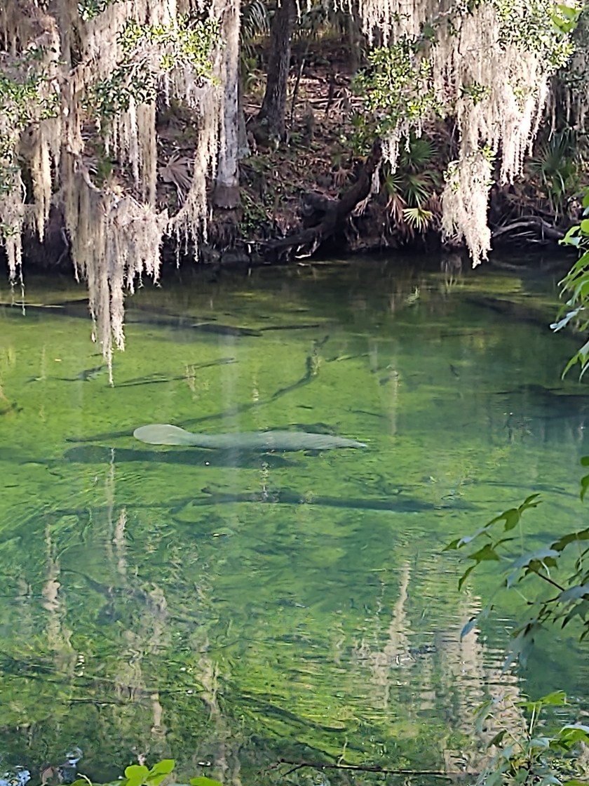 img_20200624_091652842