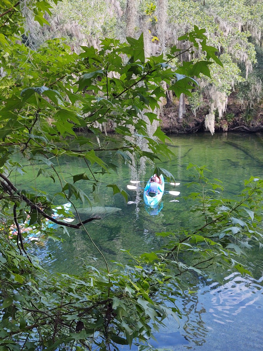 img_20200624_094323247